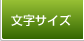 文字サイズ